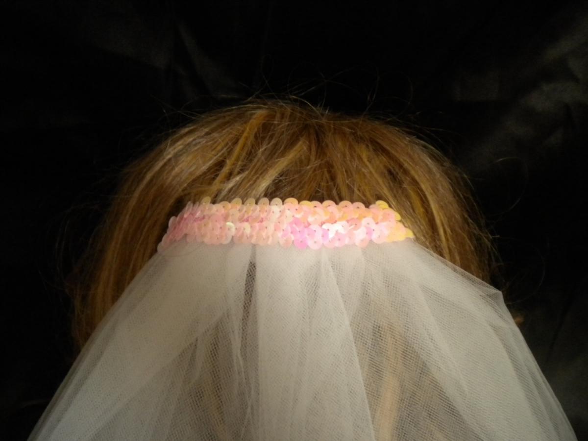 Bachelorette Party Veil On Luulla